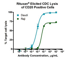 Cost-effective Custom Polyclonal Antibodies Services