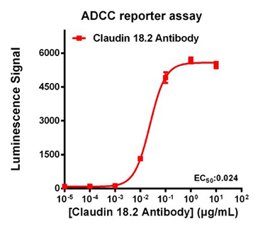 add-cmc-case-study-image7