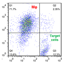 add-cmc-case-study-image6