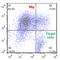 add-cmc-case-study-image7