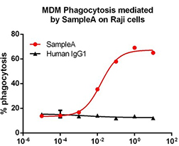 add-cmc-case-study-image7