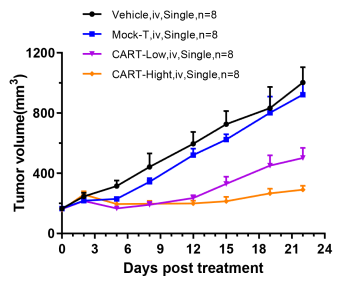 Figure A：Solid Tumor（MDA-MB-231）,Single Dose CAR-T Treatment inhibit In Vivo Tumor Growth