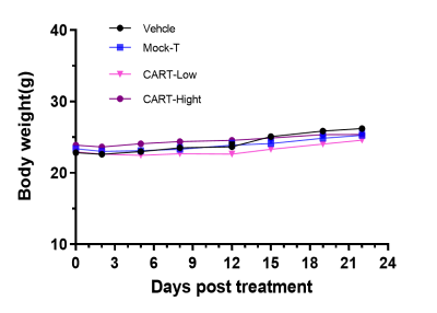 Figure B：Single Dose CAR-T did not influence Mice Body Weight and Temperature (Data not show)