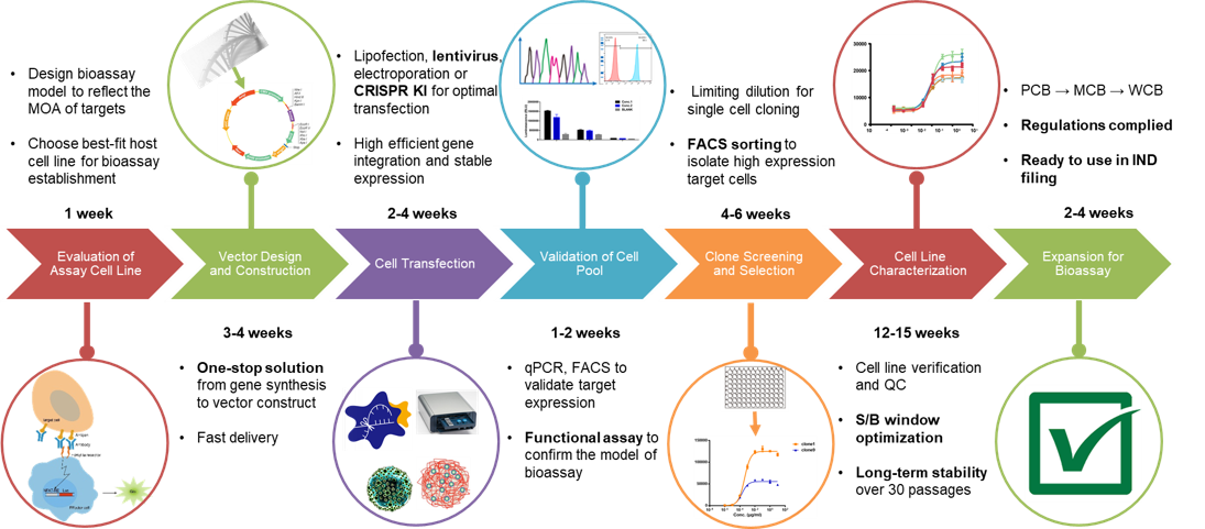 Service Workflow