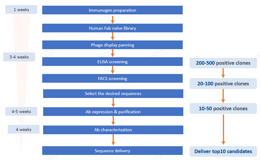 Service workflow