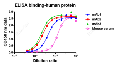 ELISA binding of recombinant supernatant