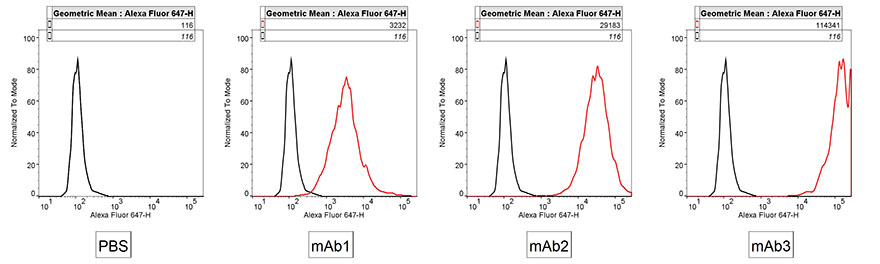 FACS binding of recombinant supernatant