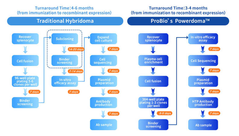 Powerdoma™ Hybridoma Discovery Platform