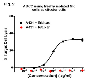 ADCC Case Study<