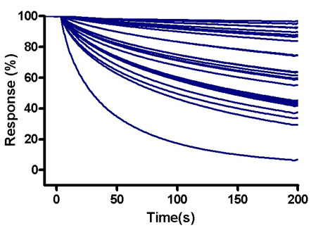 Dissociation Rates