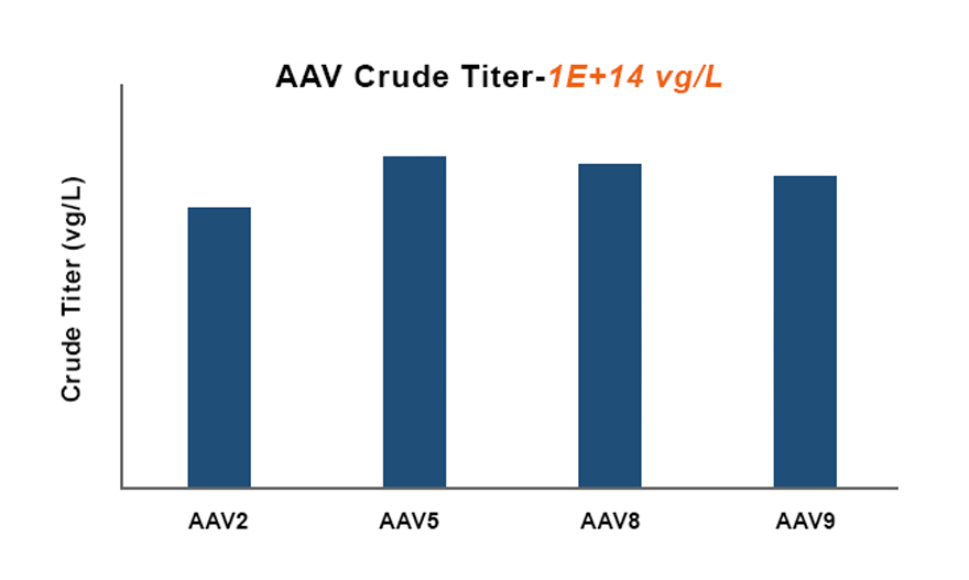 AAV Benefits