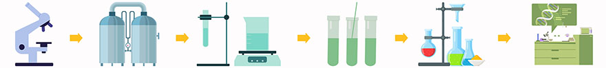 Plasmid Synthesis Service