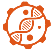 GMP Plasmid Manufacturing