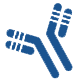 Therapeutic Antibody Services