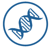 Antibody Engineering & Characterization