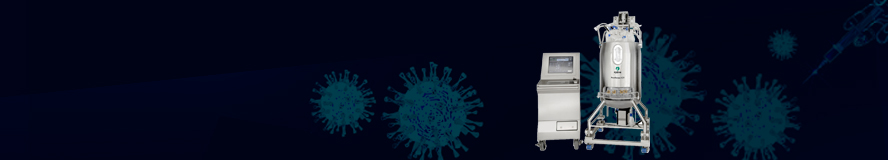 Lentivirus Manufacturing