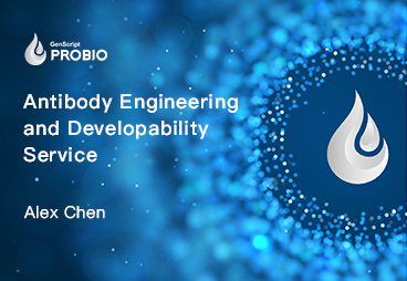 Antibody Engineering and Developablity Service